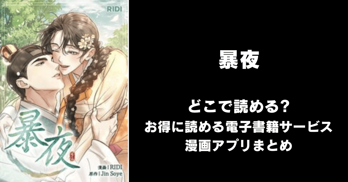 暴夜 どこで読める？シーモアやAmazon Kindleは？